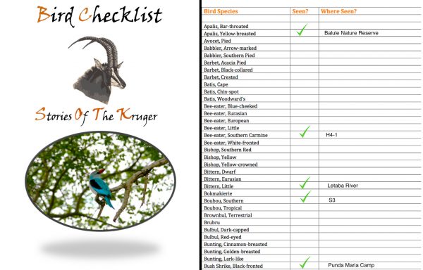 Kruger Park Bird Species Checklist PDF Download