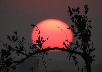 Kruger-National-Park-Sunrise