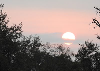Kruger Park Sunrise On The H3