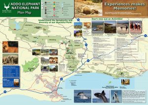 Addo Elephant National Park Map