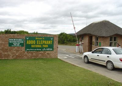 Welcome To The Addo Elephant National Park