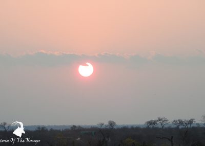 Kruger National Park Sunset Close To Maroela