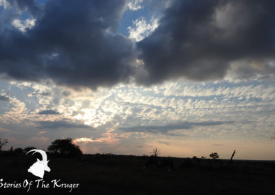 Beautiful Skies Close To Hippo Pools Kruger Park