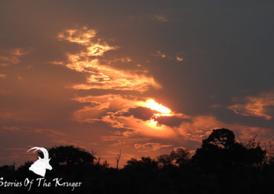 Beautiful Sunset Close To Hippo Pools Kruger Park