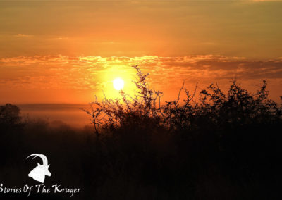 Sunrise At Crocodile Bridge Kruger Park