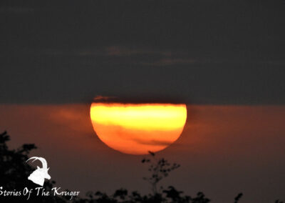 Beautiful Sunrise In The Shingwedzi Area Kruger National Park