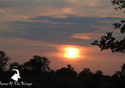 Cloudy Sunrise In The Kruger National Park