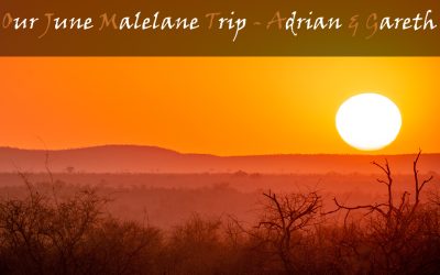 Southern Kruger National Park Self Drives