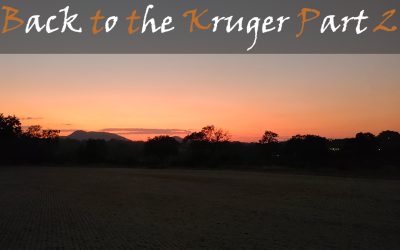 Back To The Kruger Part Two