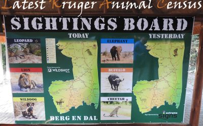Animal Numbers In The Kruger National Park